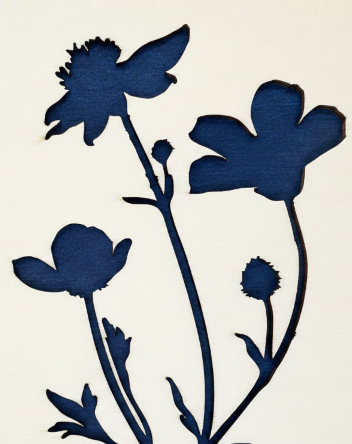 Poppy, Artwork